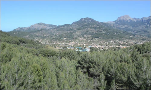 Mallorca Mallorca